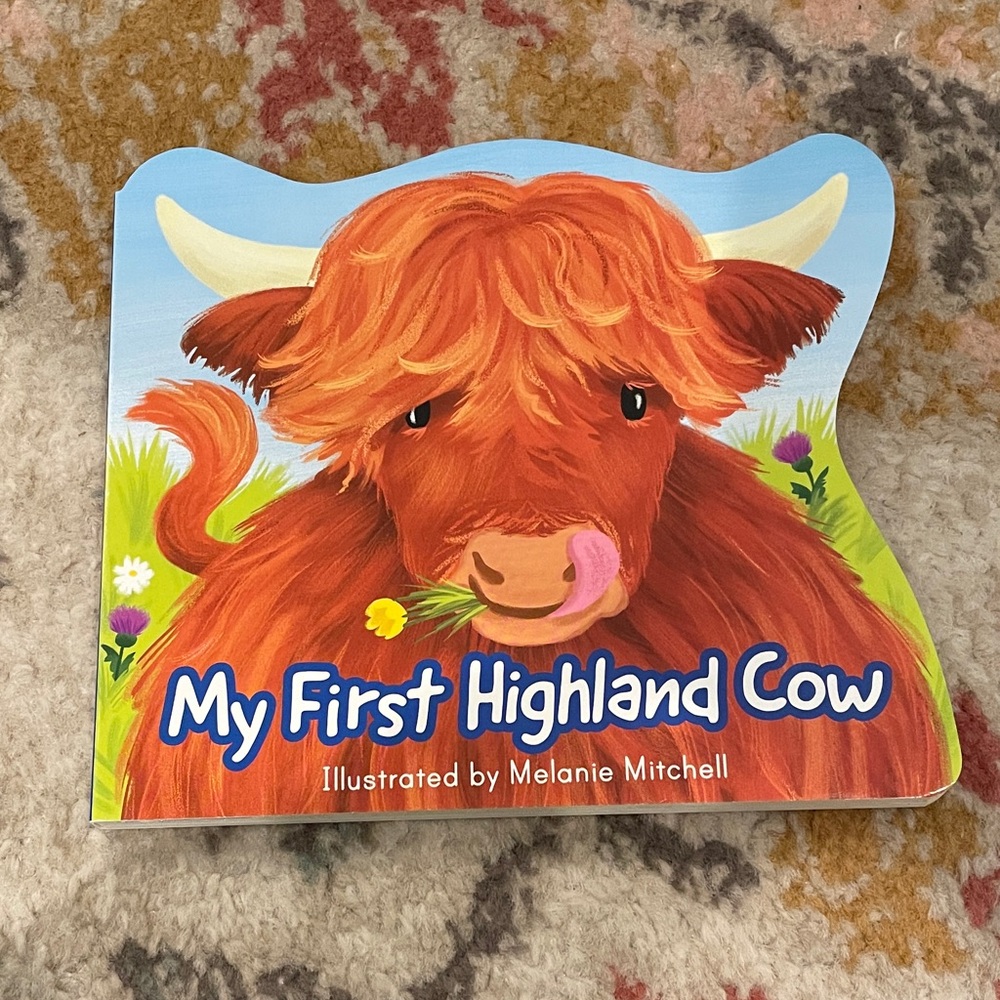 My First Highland Cow Board Book